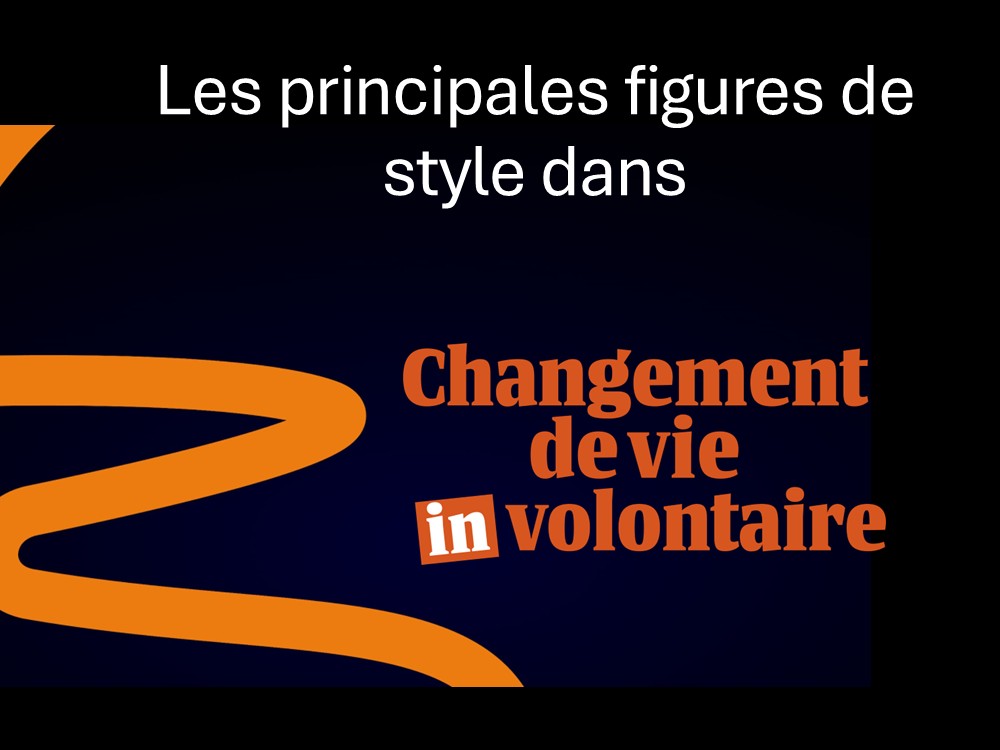 Les principales figures de style utilisées dans mon spectacle